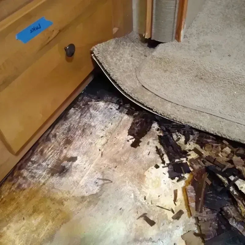 Wood Floor Water Damage in Fitzgerald, GA